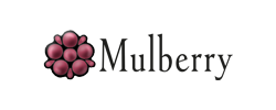 What is Mulberry mail